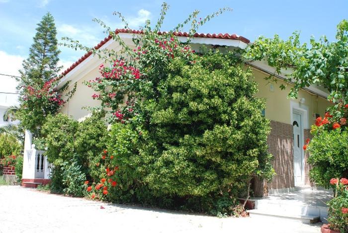 Manao Summer House * Planos