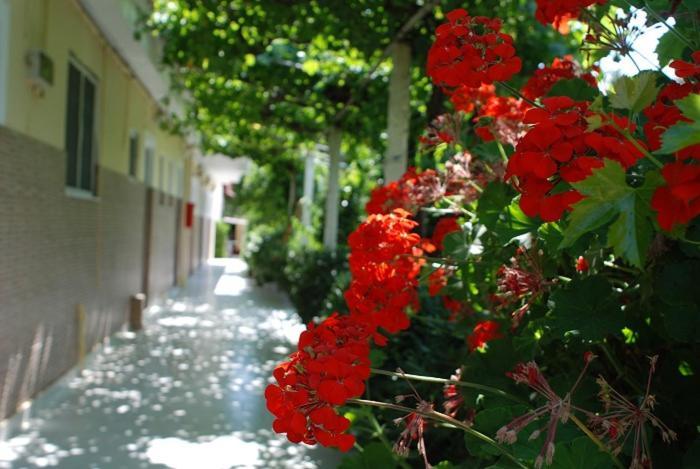 Manao Summer House * Planos